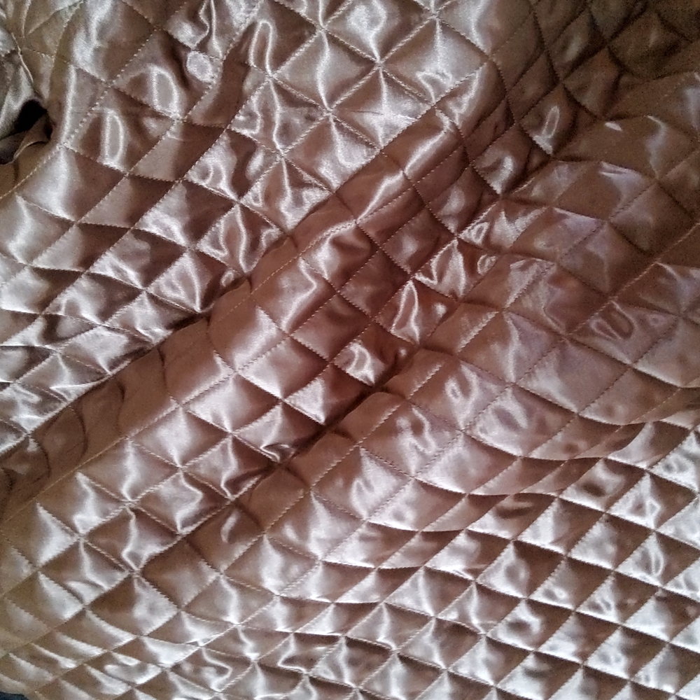 Alice + Olivia Oversizes Sherpa Teddy Coat! NWOT! - Picture 7 of 7